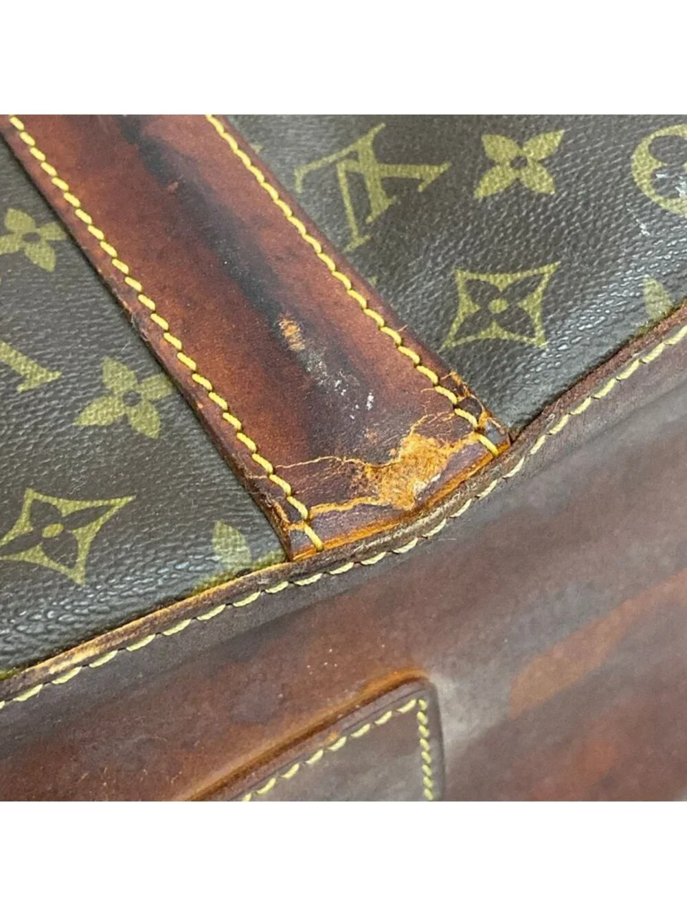 Louis Vuitton Garment Case Monogram Carry Suiter Travel Bag